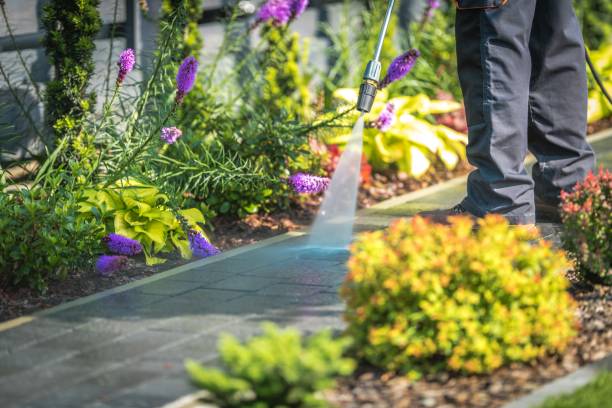 Ladera Heights, CA Pressure Washing Services Company